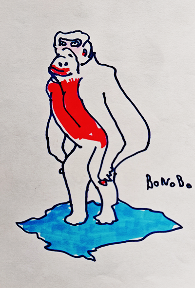 サルの絵