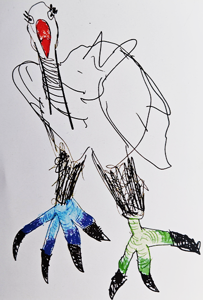 鳥の絵